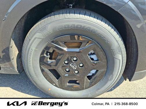 Panthera Metal 2026 Kia Carnival LXS