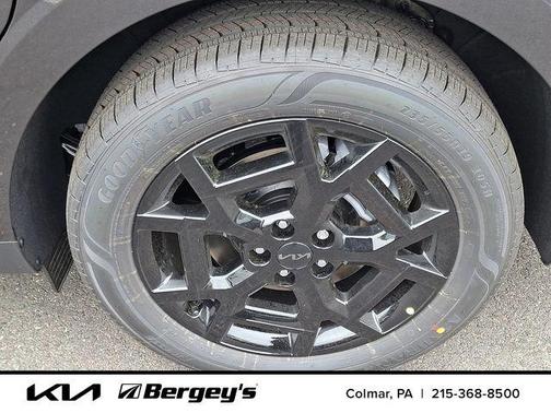 Panthera Metal 2026 Kia Carnival SX