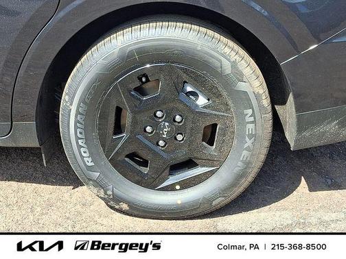 Panthera Metal 2026 Kia Carnival LXS