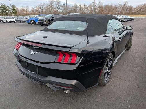 Shadow Black 2024 Ford Mustang EcoBoost Premium
