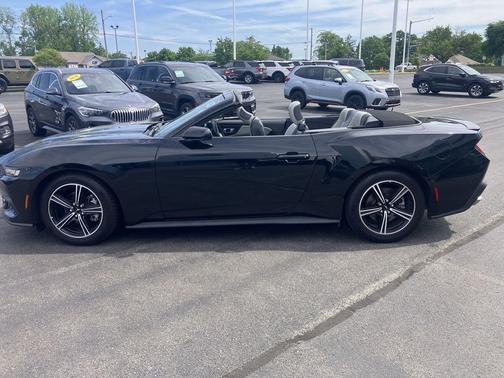 Shadow Black 2024 Ford Mustang EcoBoost Premium