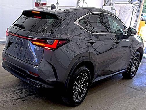 Cloudburst Gray 2024 Lexus NX 350 Premium