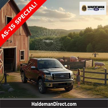 2013 Ford F-150 FX4