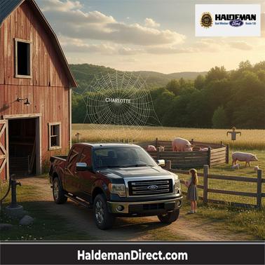 2013 Ford F-150 FX4
