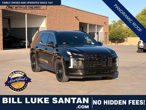 Abyss Black Pearl 2024 Hyundai PALISADE Calligraphy Night Edition
