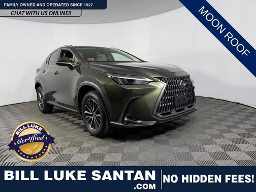 Green Pearl 2025 Lexus NX 250 Premium
