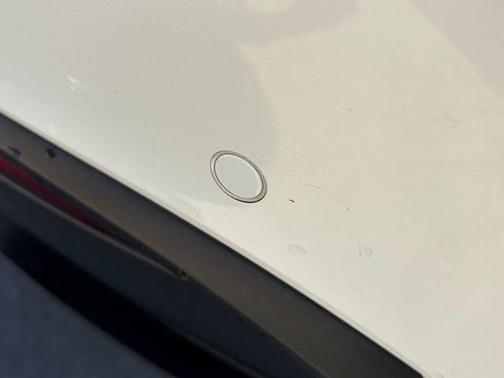 2021 Tesla Model Y Performance Dual Motor All-Wheel Drive