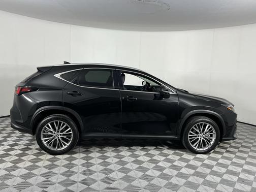 2024 Lexus NX 350 Luxury