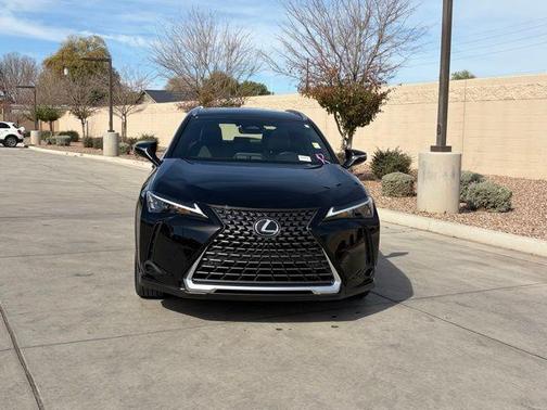 2025 Lexus UX 300h Premium