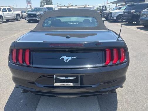 2023 Ford Mustang EcoBoost