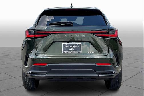 2024 Lexus NX 250 Premium