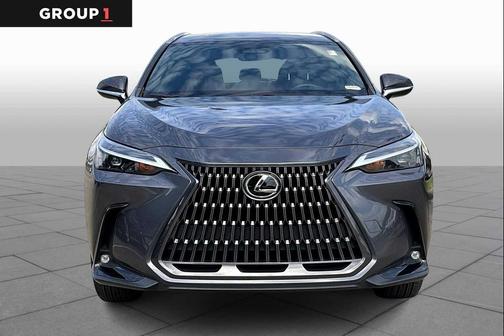 2024 Lexus NX 250 Base