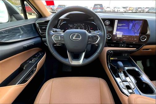 2025 Lexus NX 250 Premium