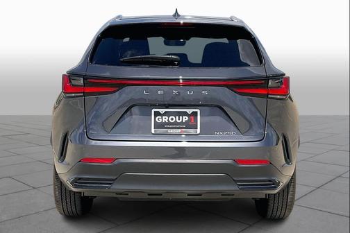 Cloudburst Gray 2025 Lexus NX 250 Premium