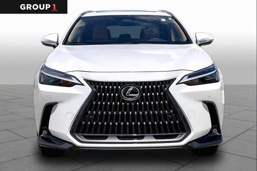 Eminent White Pearl 2024 Lexus NX 250 Premium