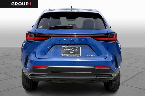 2025 Lexus NX 250 Premium
