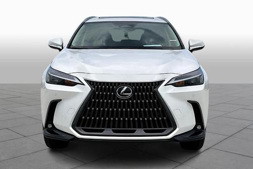 2025 Lexus NX 250 Premium