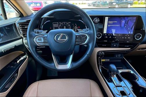 Eminent White Pearl 2025 Lexus NX 250 Premium