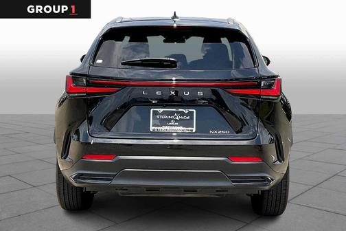 2025 Lexus NX 250 Premium