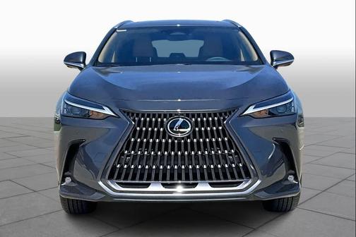 Cloudburst Gray 2026 Lexus NX 350 Premium