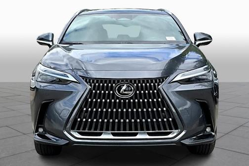 2025 Lexus NX 350 Luxury