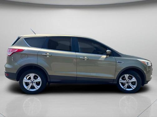 Ginger Ale Metallic 2013 Ford Escape SE