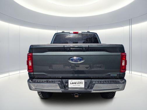 GUARD METALLIC 2021 Ford F-150 XLT