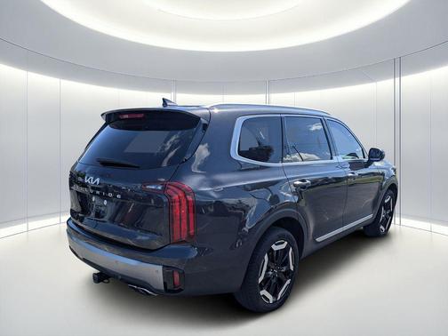 Panthera Metal 2025 Kia Telluride S