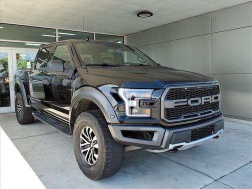 Black 2019 Ford F-150 Raptor