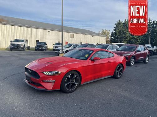 2019 Ford Mustang EcoBoost