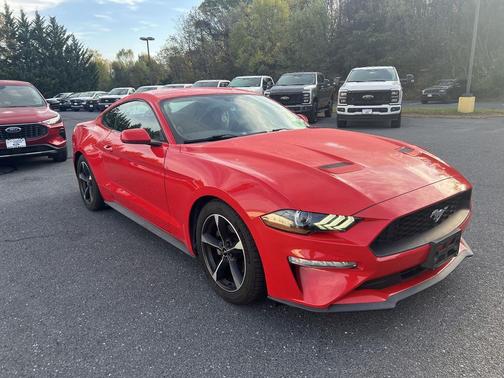 2019 Ford Mustang EcoBoost