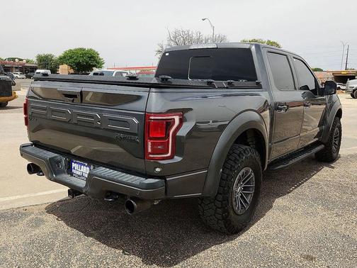 Magnetic 2019 Ford F-150 Raptor