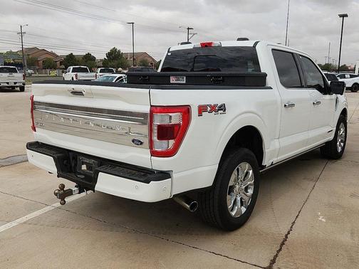 2021 Ford F-150 Platinum