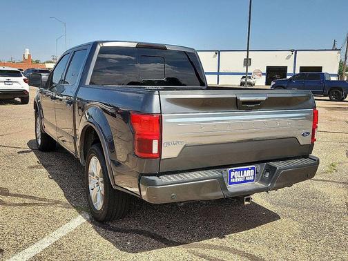 Magnetic Metallic 2020 Ford F-150 Platinum
