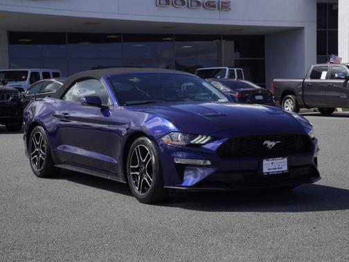 Kona Blue Metallic 2019 Ford Mustang EcoBoost Premium