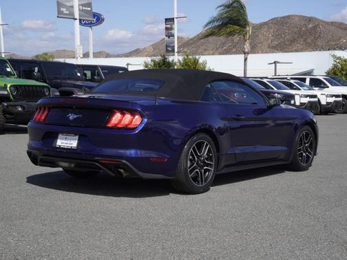 Kona Blue Metallic 2019 Ford Mustang EcoBoost Premium
