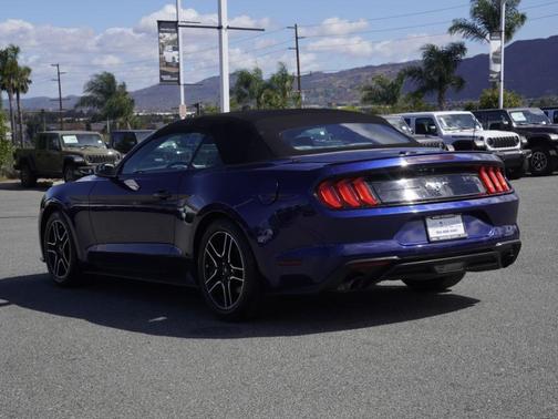 Kona Blue Metallic 2019 Ford Mustang EcoBoost Premium