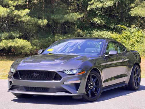 Magnetic Metallic 2019 Ford Mustang GT