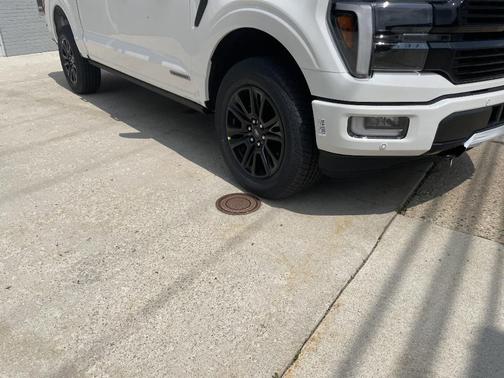 2025 Ford F-150 Platinum