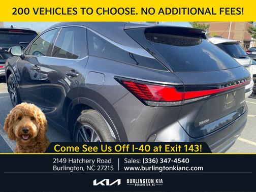 Cloudburst Gray 2025 Lexus RX 350 Premium