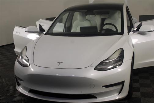 Pearl White Multi-Coat 2020 Tesla Model 3 Long Range