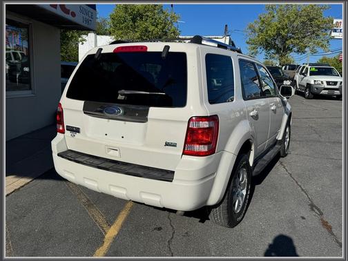 White Suede 2010 Ford Escape 4WD 4dr Limited