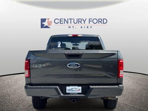 Magnetic 2016 Ford F-150 XL