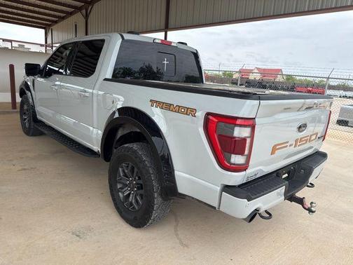 Avalanche 2023 Ford F-150 Tremor