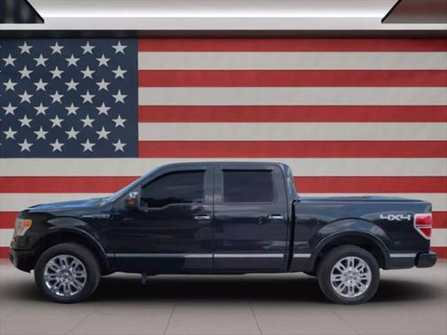 2013 Ford F-150 Platinum