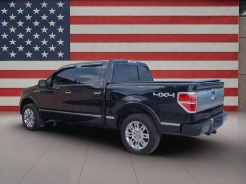 2013 Ford F-150 Platinum