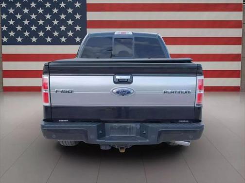 2013 Ford F-150 Platinum