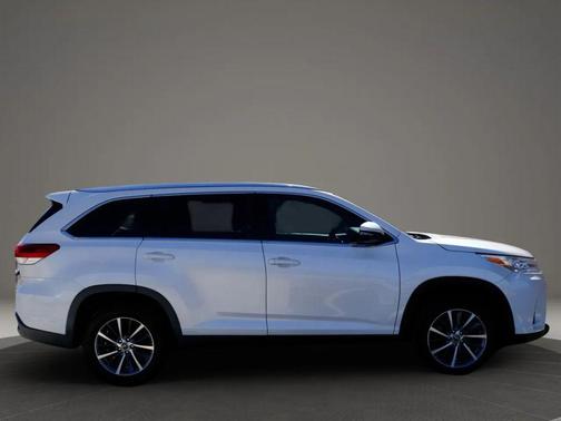 Blizzard Pearl 2019 Toyota Highlander XLE