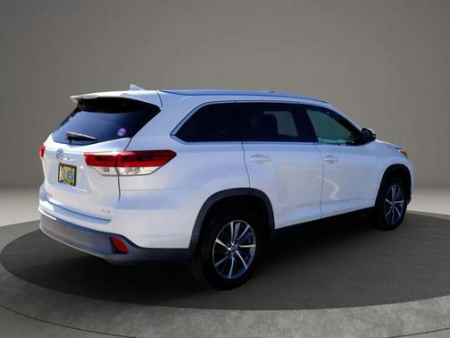 Blizzard Pearl 2019 Toyota Highlander XLE