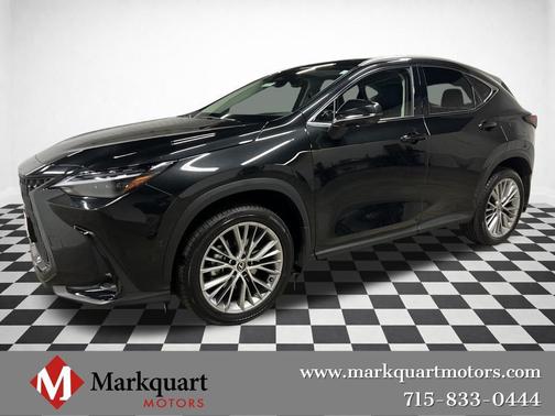 2024 Lexus NX 350h Luxury